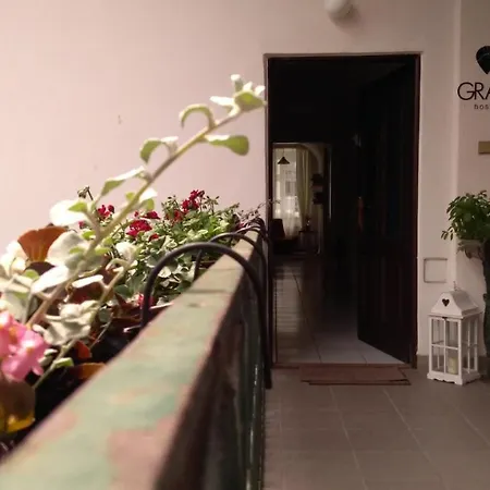 Hostel Gran *