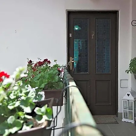 Auberge de jeunesse Gran *